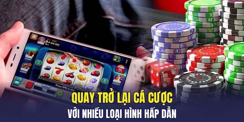 Quay trở lại cá cược với nhiều loại hình hấp dẫn